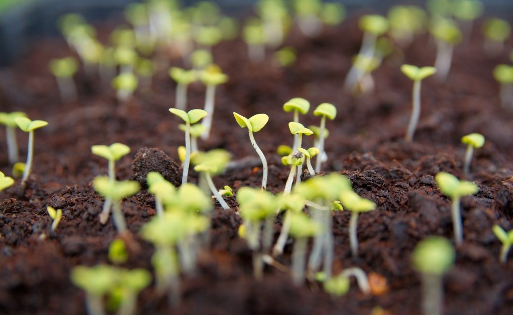 Wie Werte und Innovation zusammenpassen